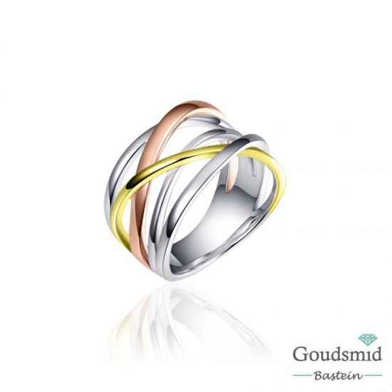 Huiscollectie zilveren ring tricolor