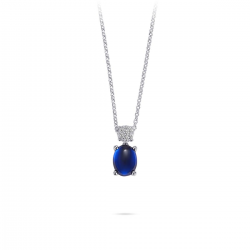 Huiscollectie zilveren collier