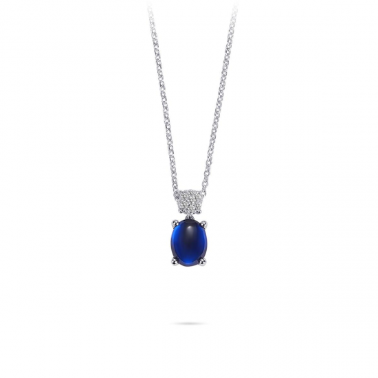 Huiscollectie zilveren collier